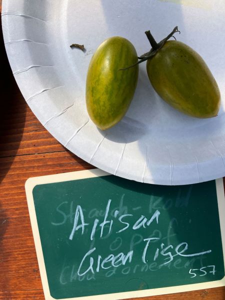 19 artisan green tiger