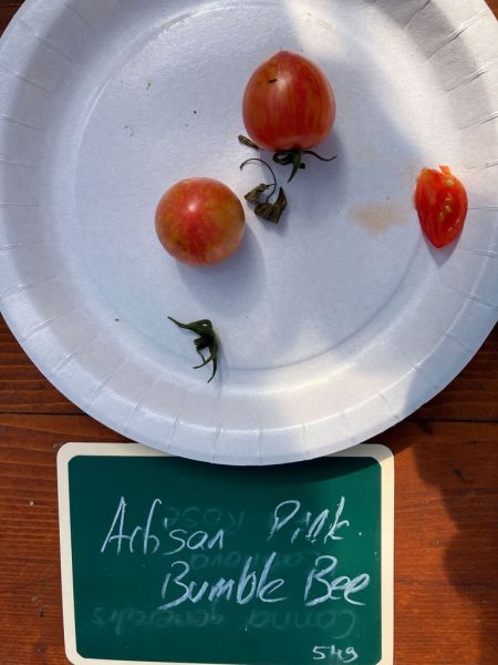 20 artisan pink bumble bee